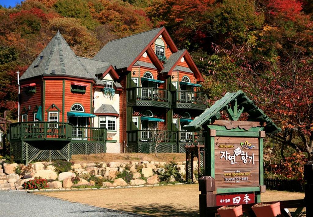 Gyeongju Jy Pension Luaran gambar